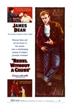 Rebel Without A Cause Movie Premium POSTER MADE IN USA - PRM054