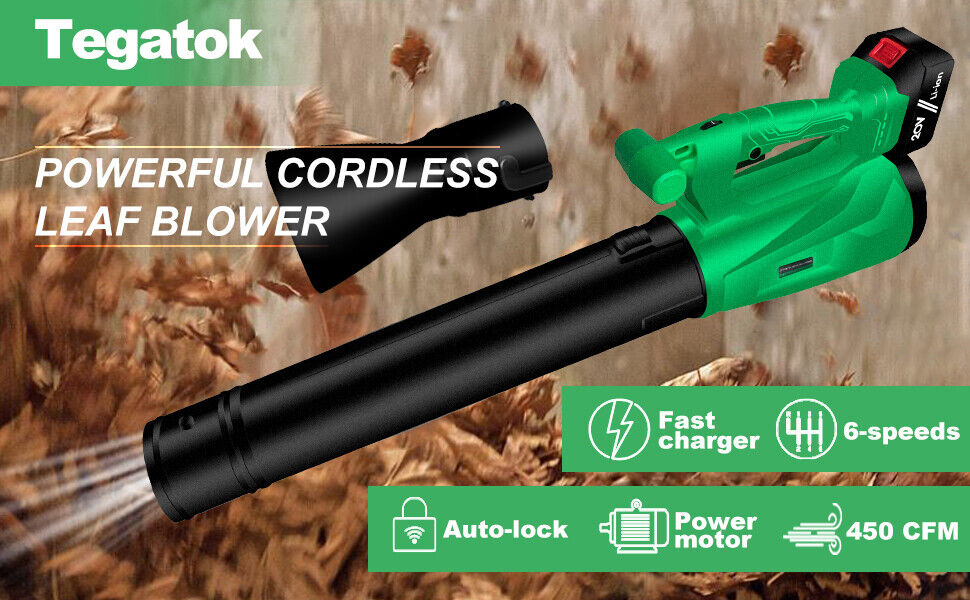 Tegatok Mini Leaf Blower, 2 in 1 Leaf Blower Cordless with Battery