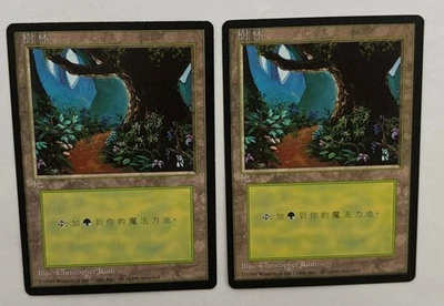 MTG 2X CHINESE BLACK BORDERED FOREST NM FBB MAGIC THE GATHERING BASIC LAND - Image 1 of 4