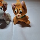 Foto 3 di 5