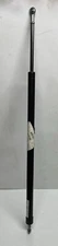 L71-6030 Genuine Paccar Hood Strut OEM - New