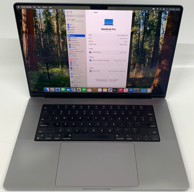 Apple MacBook Pro A2485 16,2'' M1 MAX 32GB RAM 1TB SSD Grade B US 984 Zyklen