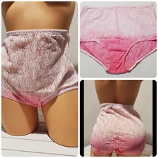 Teri Lingerie Brief Panty Nylon Lace Full Cut 9/2XL Ombre Princess PINK 308