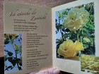 Bild 8 von 9