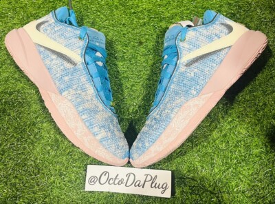 Nike LeBron 20 XX ASW Blue Mens Multi Sizes DV1191-400 | eBay