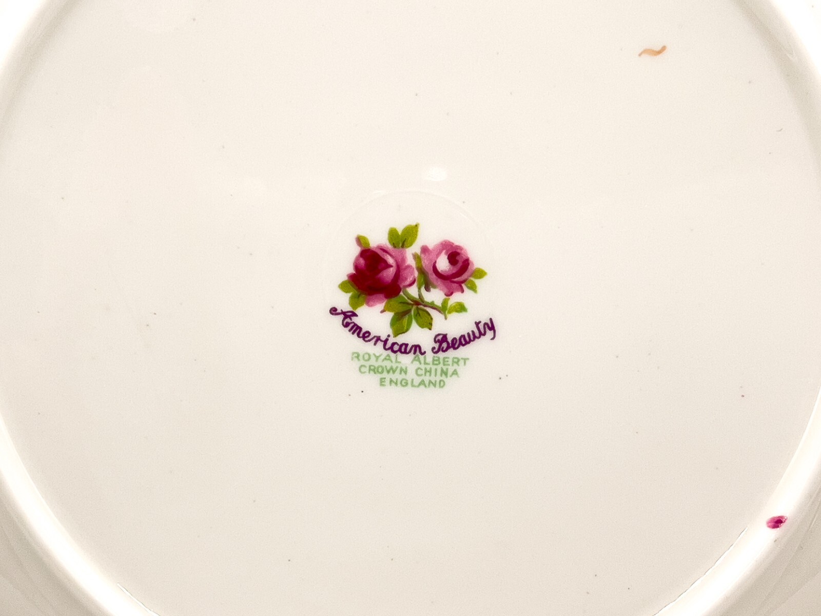Foto 7 di 7