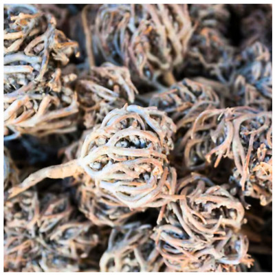 Natural Flower of Maryam Herb 50-250 g | Chaste Tree | كف مريم - عشبة المدينة