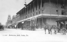 Montezuma Hotel Ocala Florida FL - Reprint