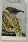 The Knight  Series, No 1349, Treasure Trove Postcard