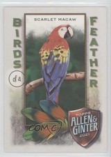 2021 Topps Allen & Ginter's Birds of a Feather Scarlet Macaw #BOF-3 0d2