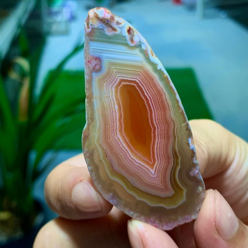19G Natural Beautiful Agate Geode Druzy Slice Extra Large Gemstone - Picture 7 of 12