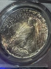 1923 $1 Peace Dollar PCGS MS62 Toned