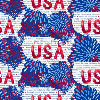 BTY ONE LAND ONE FLAG BLANK QUILTING USA AMERICA MAP FIREWORKS PATRIOTIC FABRIC