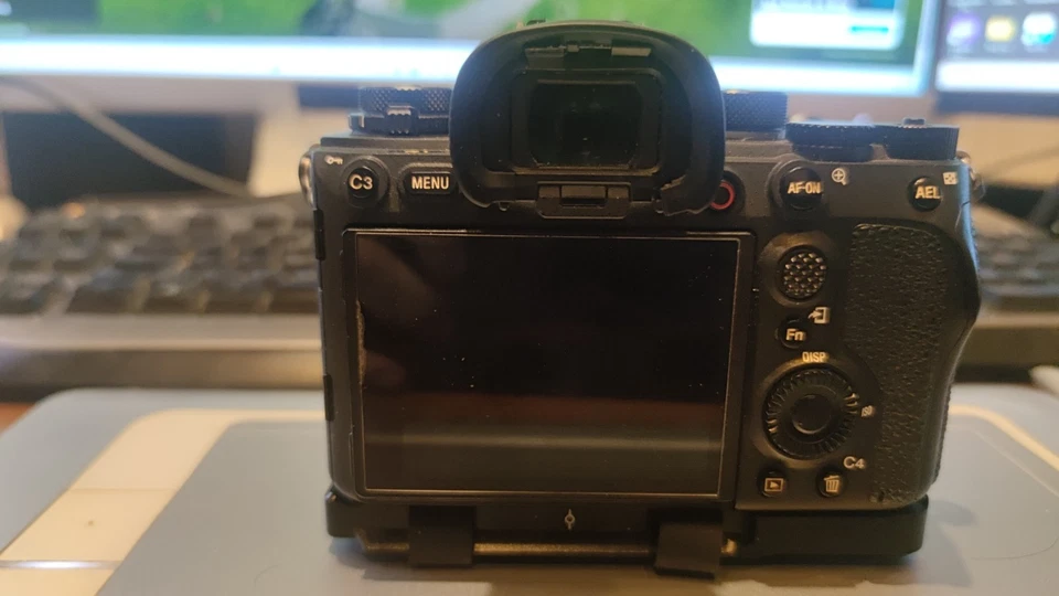 Sony Alpha 1, foto 2 di 3