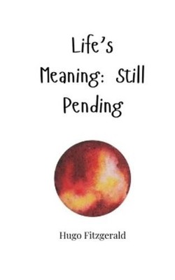 Hugo Fitzgerald Life's Meaning (Paperback) (UK IMPORT)