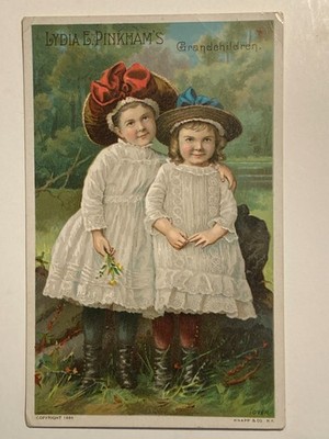 c1880s-90s Lydia E. Pinkhams Vegetable Compound is a positive cure Lynn, Mass.