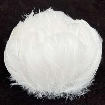 100pcs Tiny White Goose Feather 2-3Inch Fluffy Feathers for 2-3inch