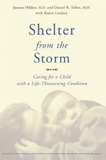 Joanne Hilden Daniel Tobin Karen Lindsey Shelter From The Storm (Paperback)