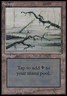 International Edition - IE Swamp (297) x1 NM-Mint, English Magic Mtg M:tG