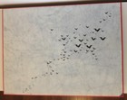 Foto 5 di 11