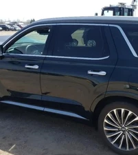 2020-2025 Hyundai Palisade LH Driver Roof Curtain Airbag OEM