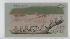 2020 Topps Allen & Ginter Chrome Mini Buggin' Out! Fire Ant #MBOC-16 0d2