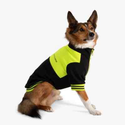 Dog NANDOG PET GEAR  Dog Sport Jacket  Black/ Yellow Size : M