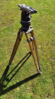 Vintage holz kamerastativ ARRI tripod by Cartoni -  Arriflex kamera