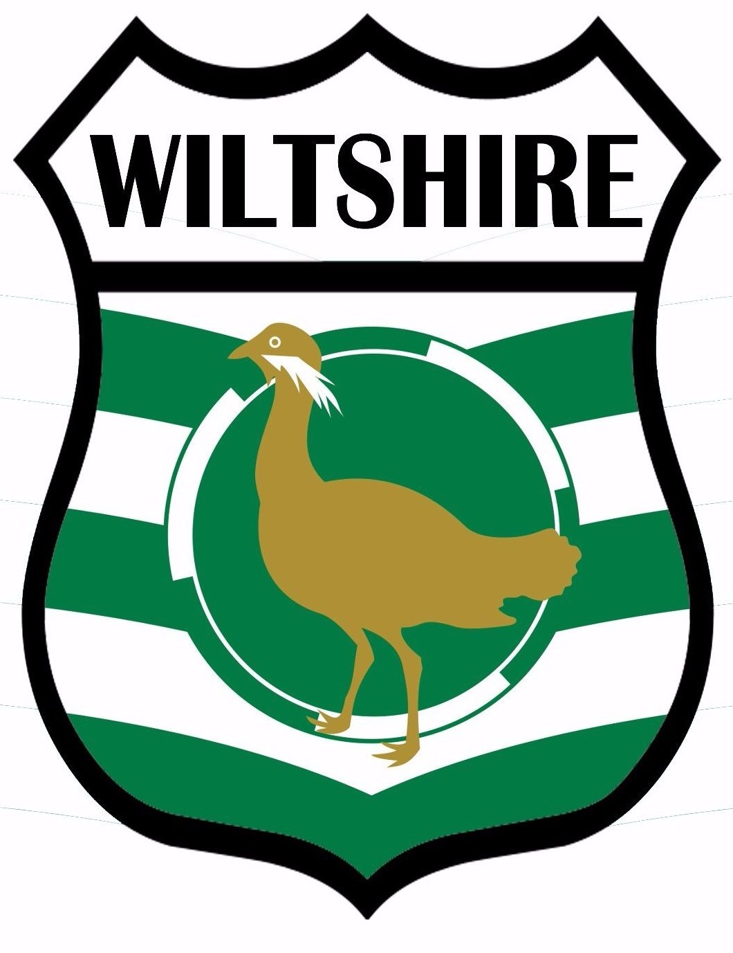 Wiltshire County Flag Patch Iron On Patch Sew On Embroidered