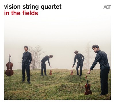 Vision String Quartet Vision String Quartet: In the Fields CD NEW
