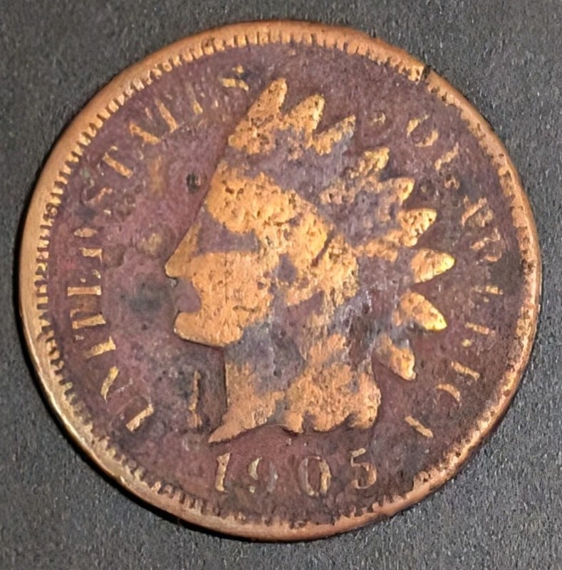 An Indian Head Penny from 1905!  Free Shipping!