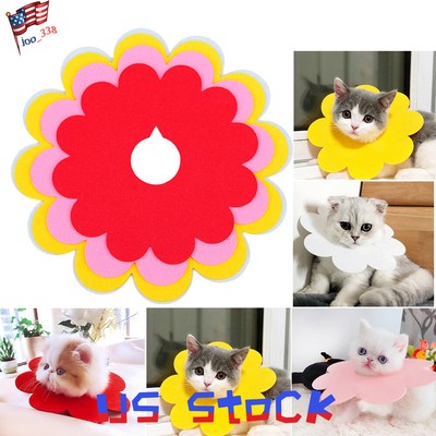 towel e collar for cats
