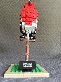 LEGO Ideas Birds 21301 Blue Jay Hummingbird Red Robin COMPLETE NO MANUAL NO BOX