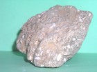 ANCIENT FOSSIL ROCK--UNIQUE & ONE OF A KIND--FROM CALIFORNIA — photo 4