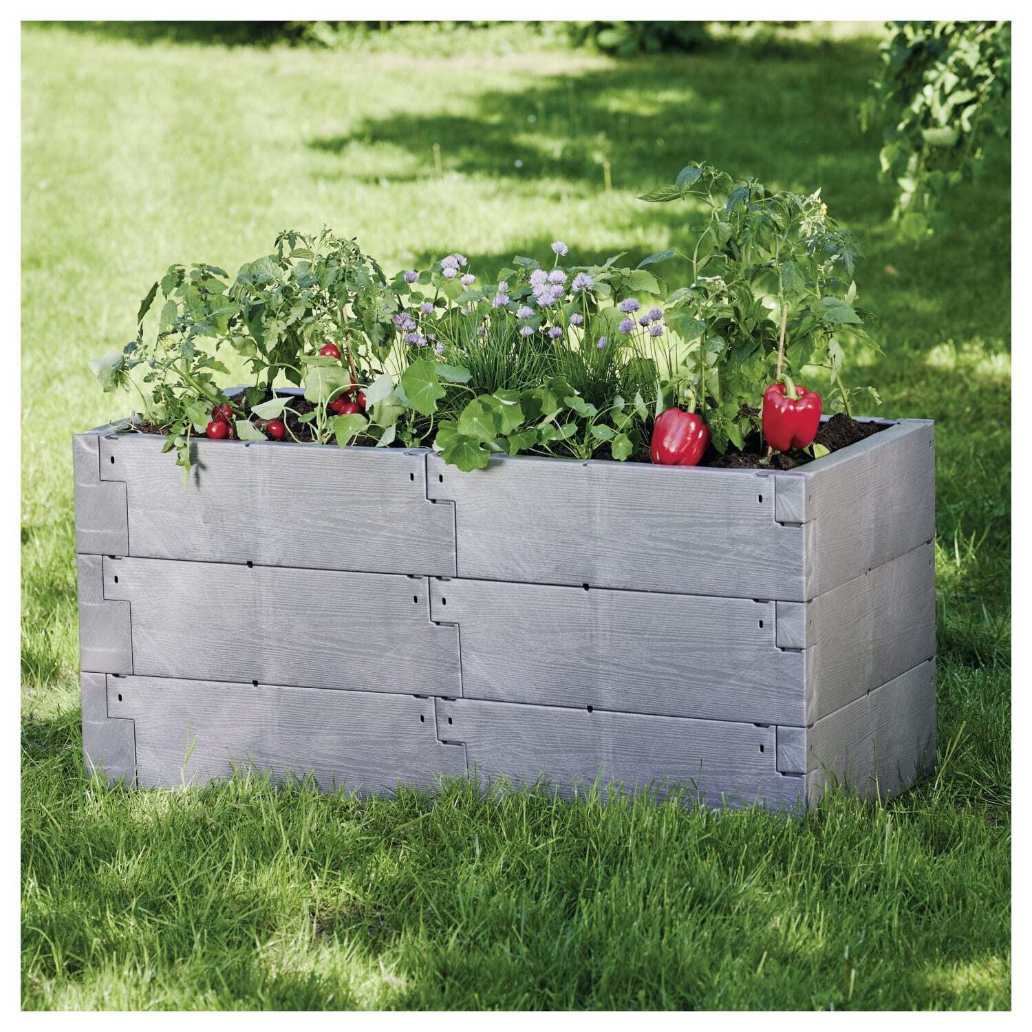 Juwel Hochbeet TIMBER 3erSet 130 x 60 x 60 cm flexibel erweiterbar