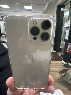 iPhone 13 Pro Max W/ Tik Tok 