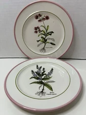 Primula Botanical 8.5” Plates 