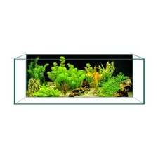 Aquarium Background Fish Tank Background Ultra HD Static Cling, Tape-F