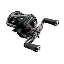 Daiwa 24 STEEZ SV TW 100HL Baitcasting Reel  Left Handed New　JP