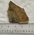 UTAH YELLOW FEATHER SLAB ~ 39  grams / rough agate jasper mineral rock — photo 7