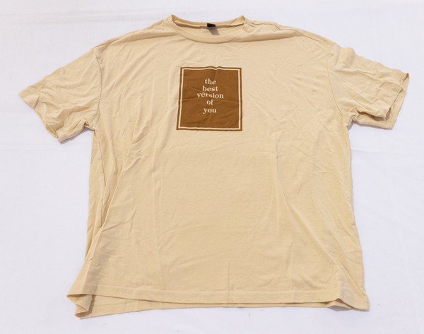 Shein Women's Short Sleeve Slogan Graphic Drop Shoulder Tee AR8 Apricot Large 