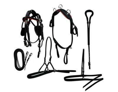 Miniature Small Horse Driving Harness Leather Black-Red/White Trim Free Shipping
