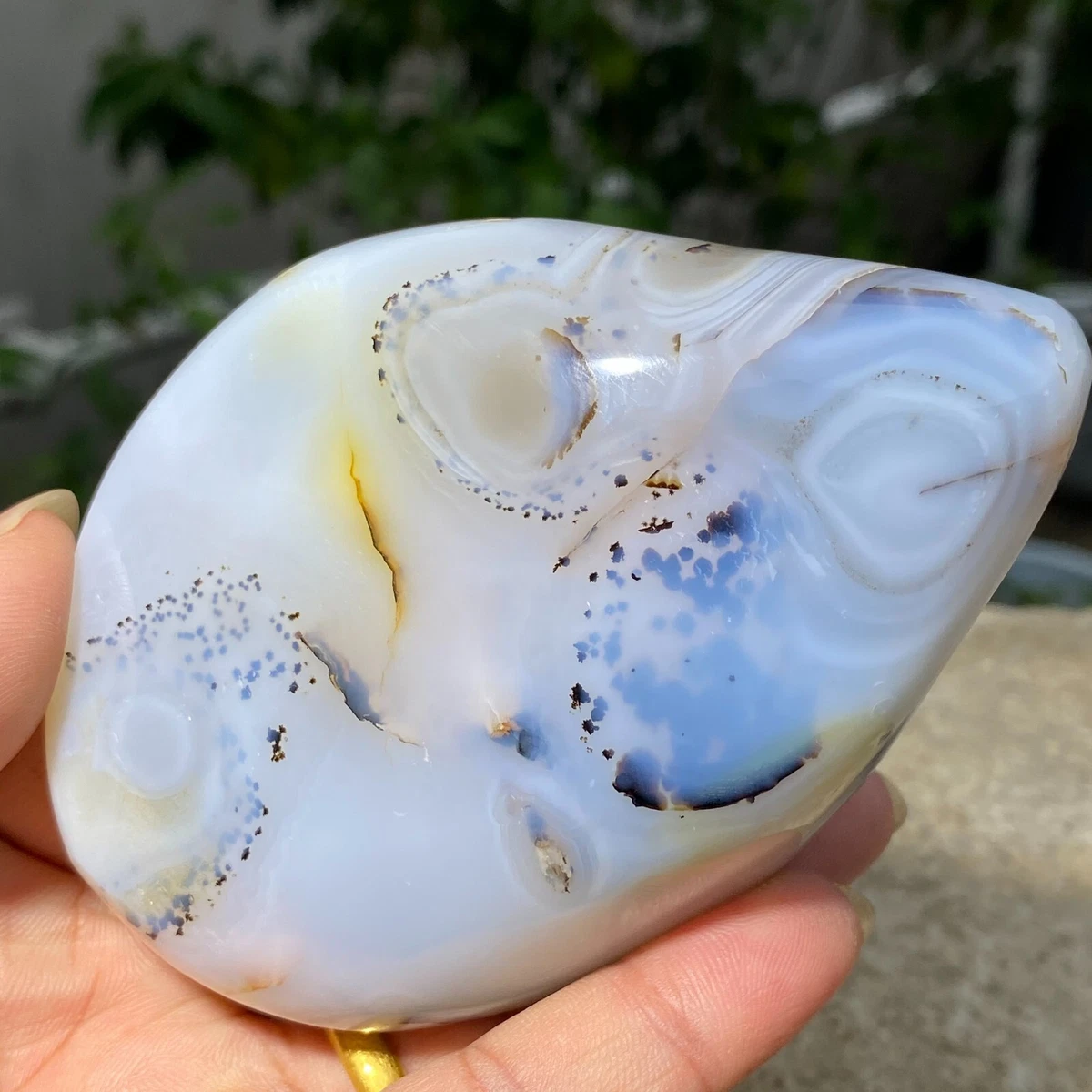 Dendritic best sale moss agate