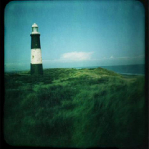 Blue Roses Альбом Blue Roses (CD)