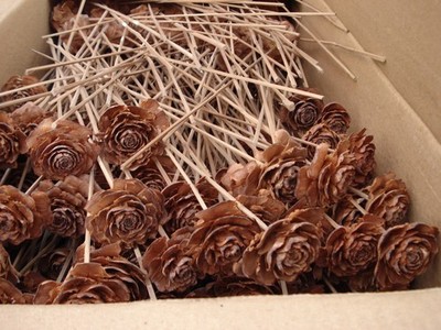 400 Ceder Rose Zapfen am Stab natur Großhandel Überseekarton 5-6 Cm