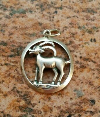 Anhänger rund mit Sternzeichen Steinbock Silber 835 (J228)