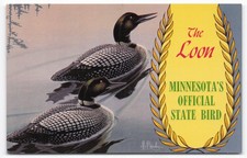 Vintage Minnesota Loons Postcard Les Kouba Official State Bird Mirro-Krome