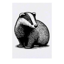 'Badger Cub' Temporary Tattoos / Transfers TO00070207