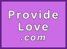 ProvideLove.com Premium Domain Name For Sale .COM / Domains Domaining