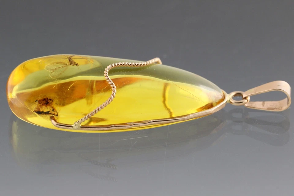 Genuino ÁMBAR BÁLTICO ORO 14K Colgante Insecto Fósil GRÚA MOSCA 4.4g 191126-13 Foto 4 de 4